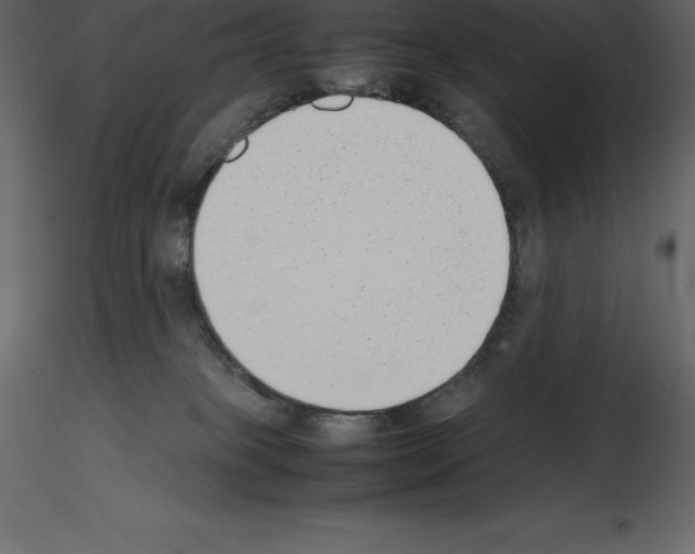 X0000115720085200912241614