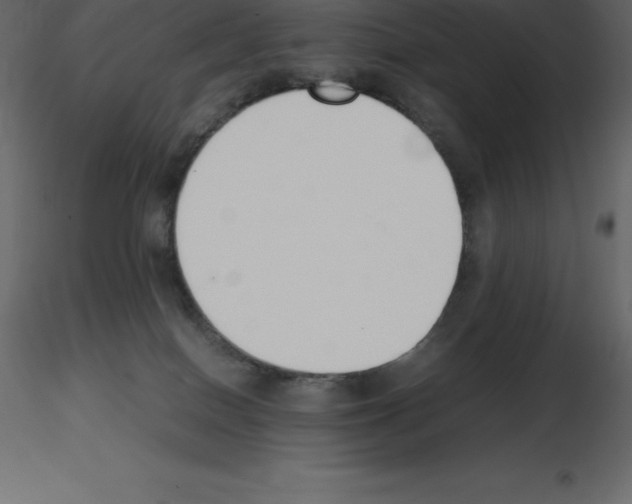 X0000115720086200912241614