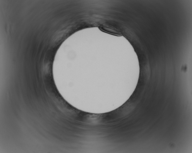 X0000115720088200912241614