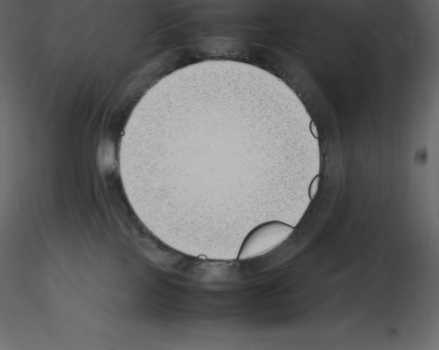 X0000115720089200912241614