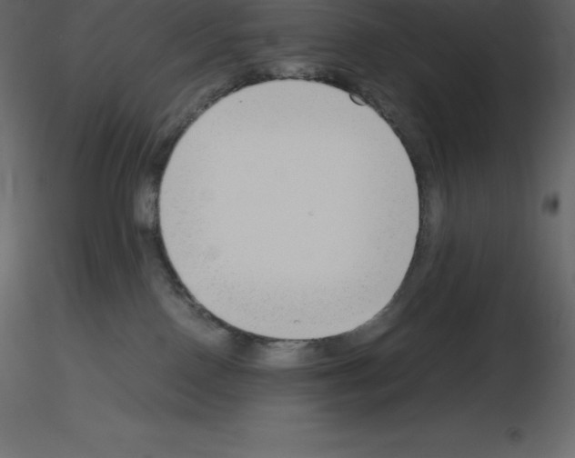 X0000115720090200912241614