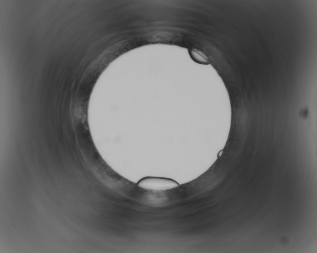 X0000115720091200912241614