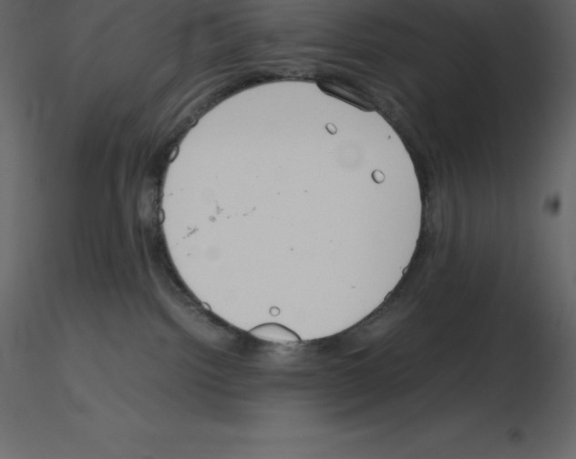 X0000115720092200912241614