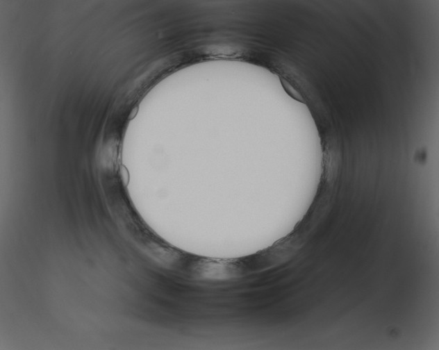 X0000115720093200912241614