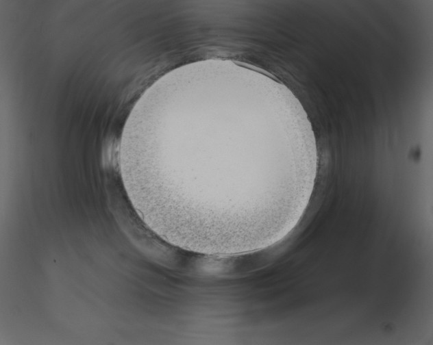 X0000115720094200912241614