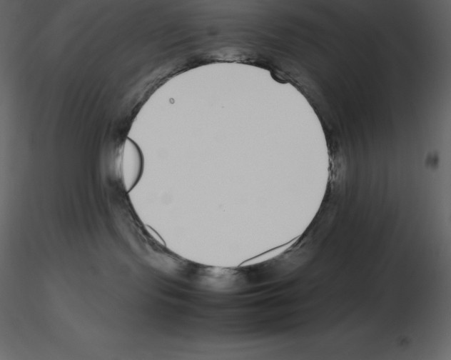 X0000115720095200912241614