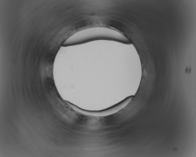 X0000115720096200912241614