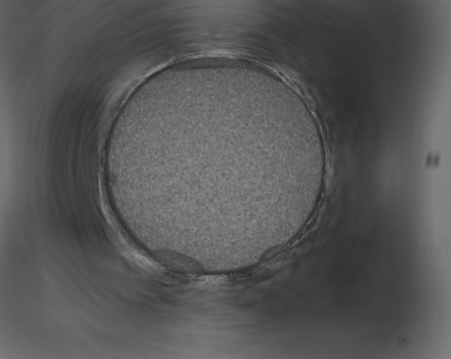 X0000115720097200912241613