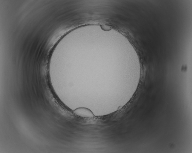 X0000115720098200912241613