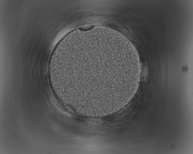 X0000115720099200912241613