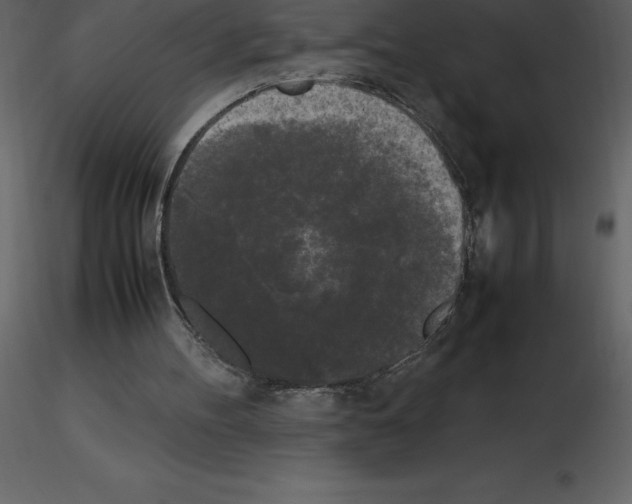 X0000115720100200912241613