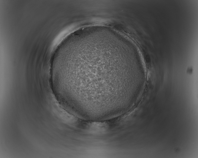 X0000115720101200912241613