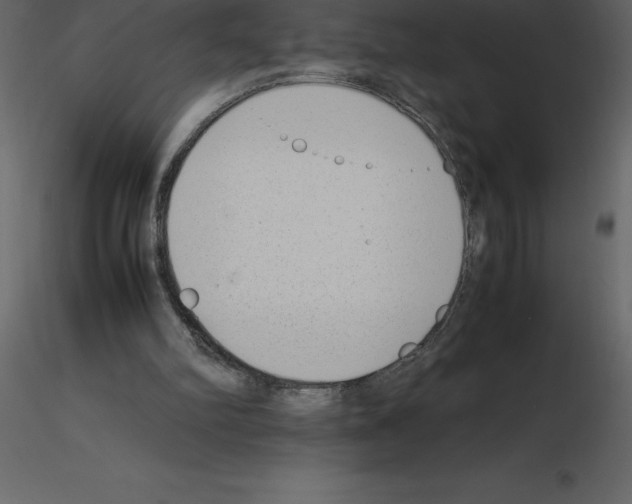X0000115720102200912241613