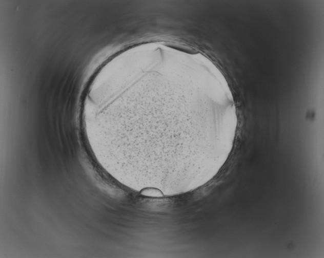 X0000115720104200912241613