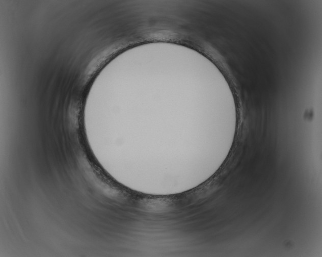 X0000115720106200912241613