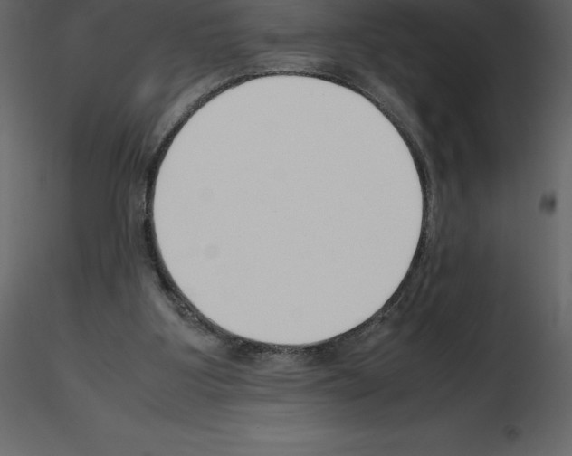X0000115720107200912241613