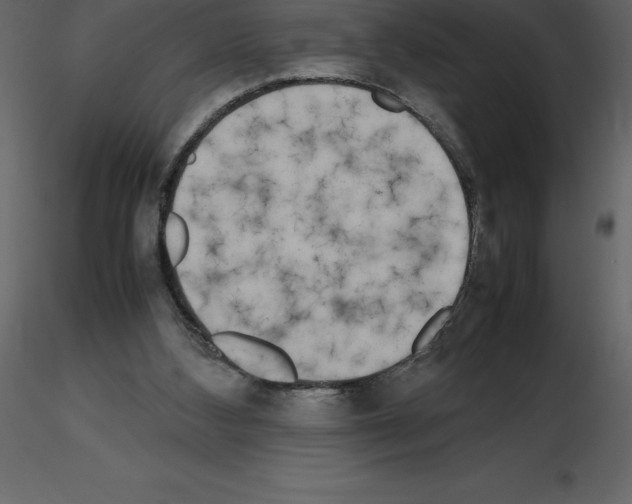 X0000115720108200912241613