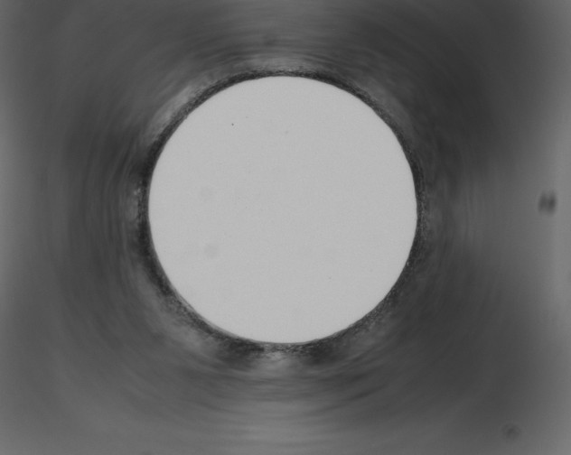 X0000115720111200912241613