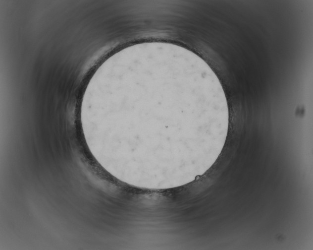 X0000115720112200912241613