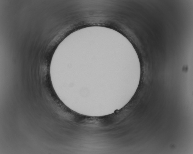 X0000115720113200912241613