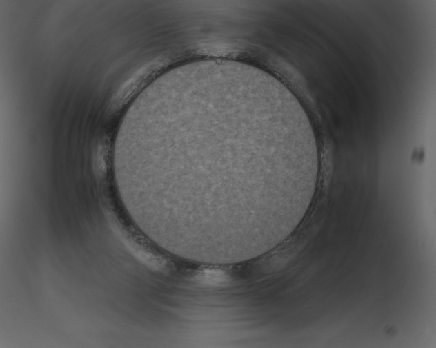 X0000115720114200912241613