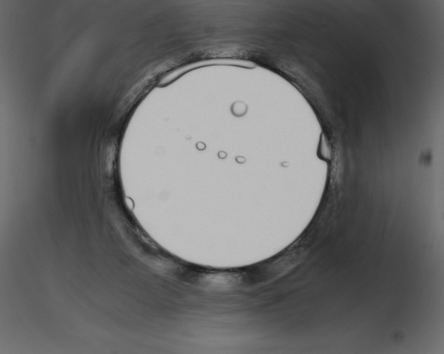 X0000115720115200912241613