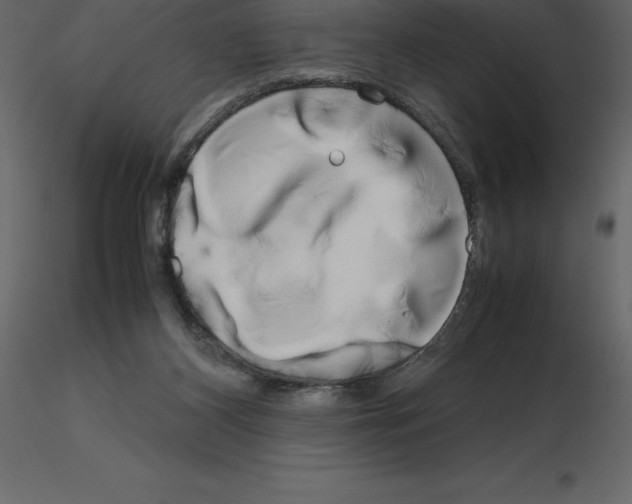 X0000115720116200912241613