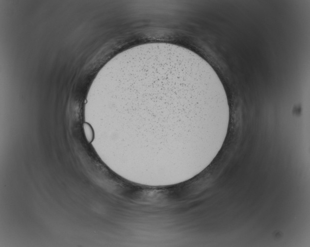 X0000115720117200912241613
