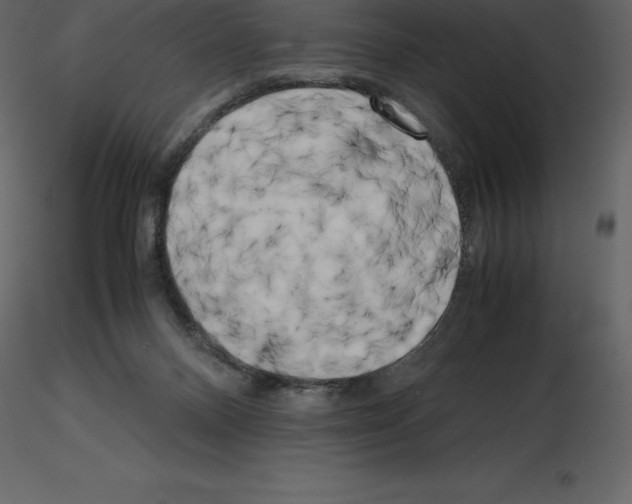 X0000115720120200912241613