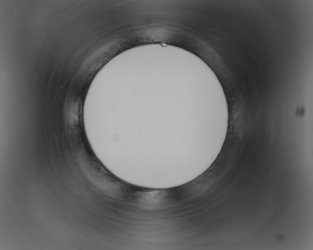 X0000115720122200912241613