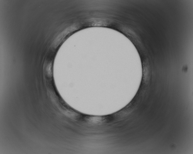 X0000115720123200912241613