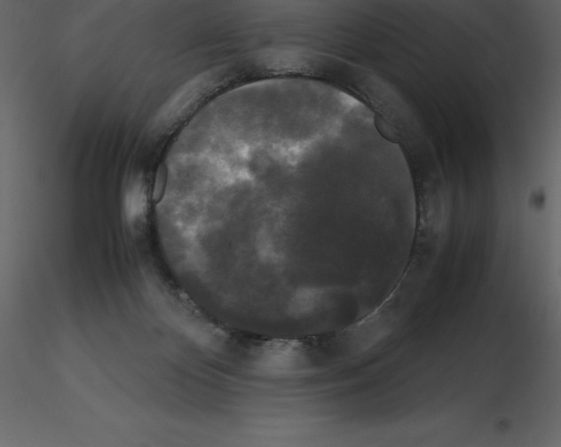X0000115720124200912241613