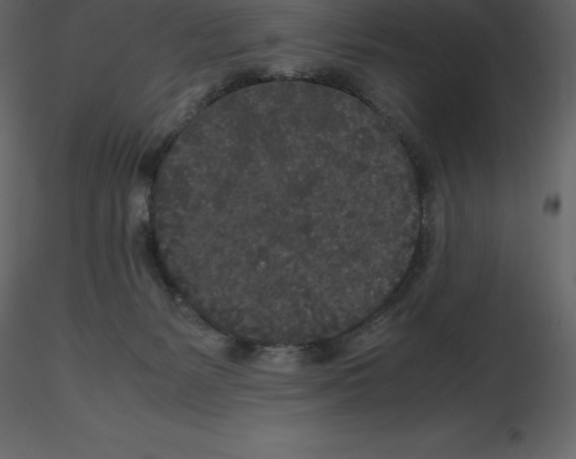 X0000115720127200912241613