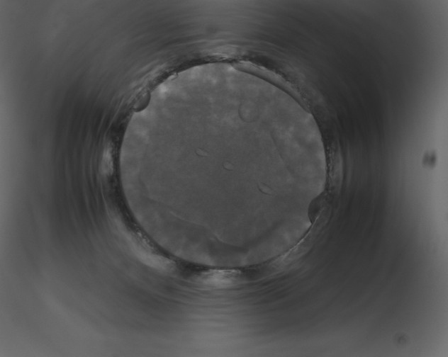X0000115720128200912241613