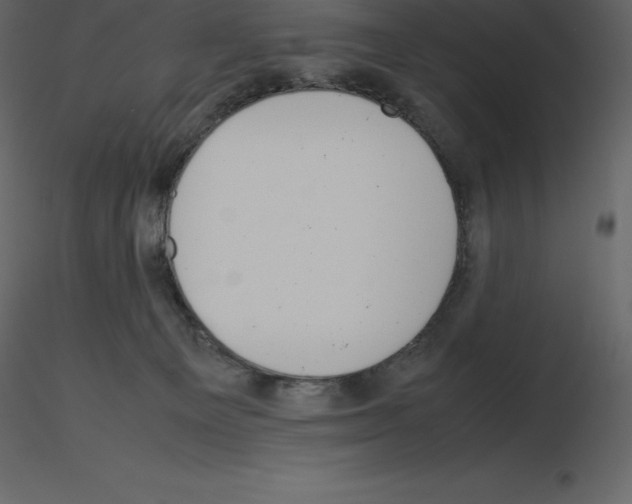 X0000115720129200912241613