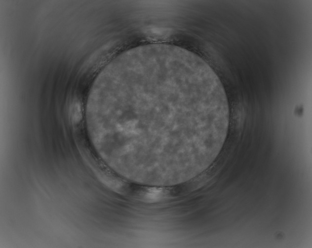 X0000115720130200912241613