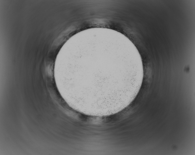 X0000115720131200912241613