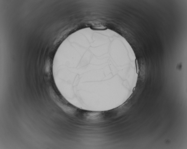 X0000115720132200912241613