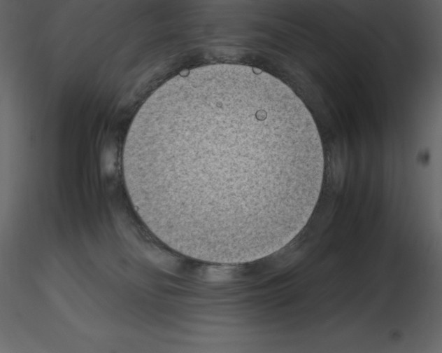 X0000115720134200912241613