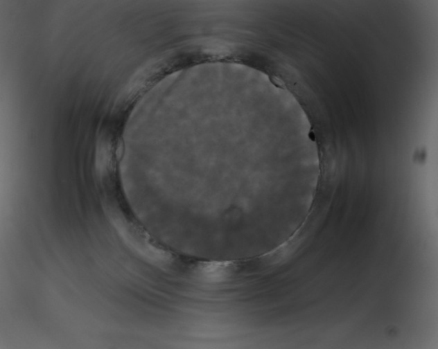 X0000115720136200912241613