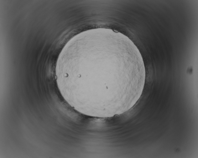 X0000115720140200912241613