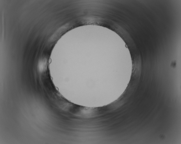X0000115720142200912241612