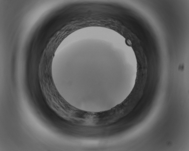 X0000115720143200912241612