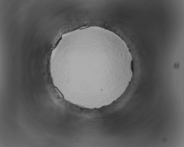 X0000115720144200912241612