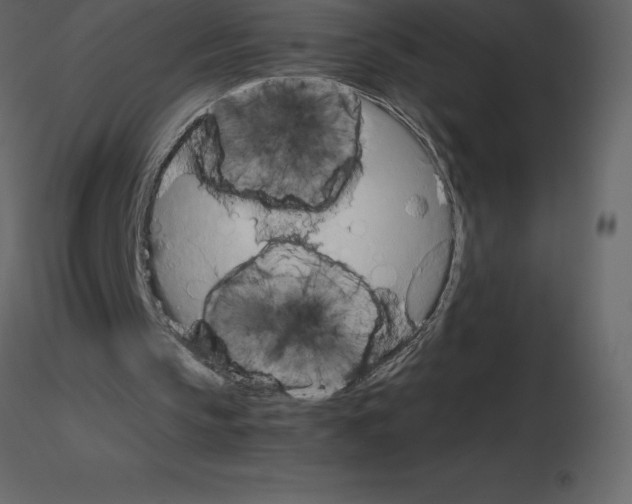X0000115720145200912241612