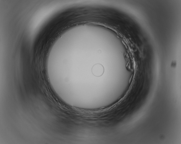 X0000115720146200912241612