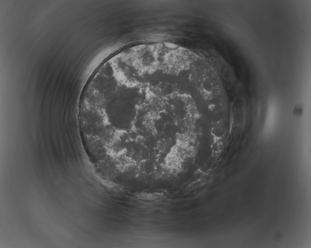 X0000115720147200912241612
