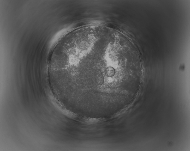 X0000115720149200912241612
