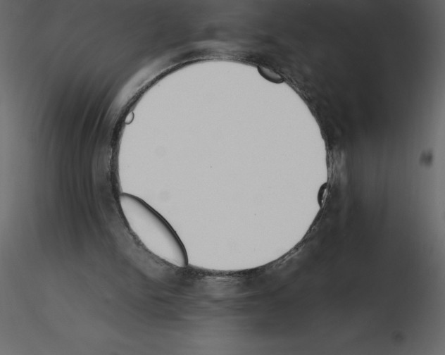 X0000115720150200912241612