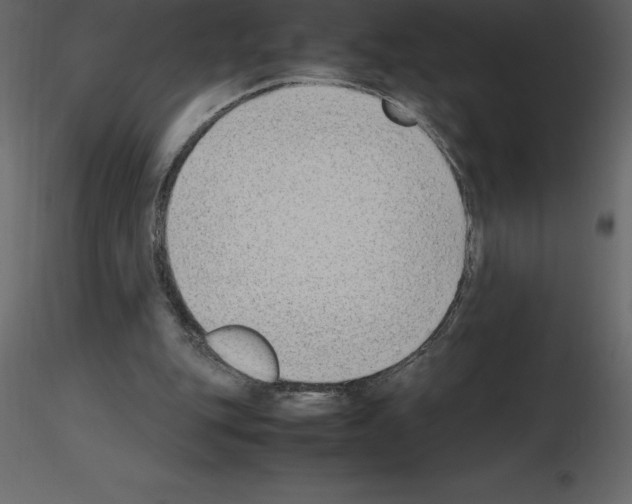 X0000115720151200912241612